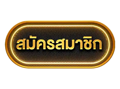 แบนเนอร์ 4